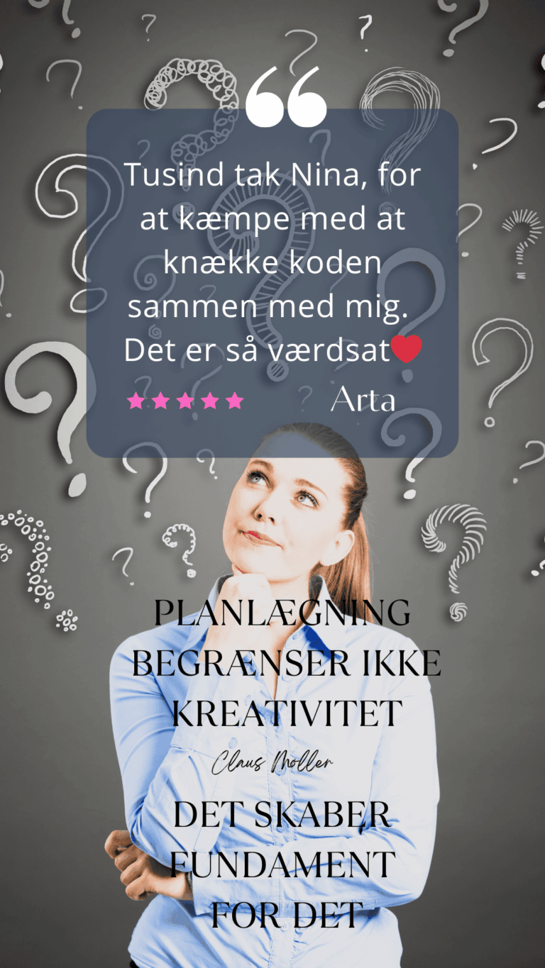 iværksætteri, soloselvstændig succes